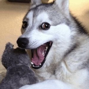 Meet your Posher, Ranziel